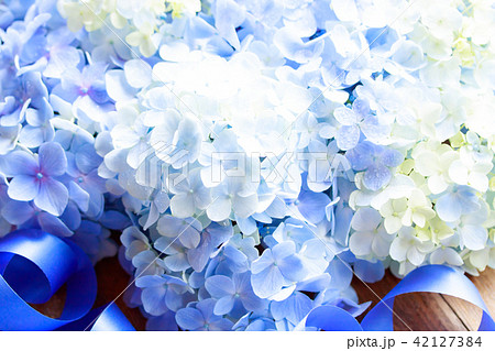 あじさい 42127384