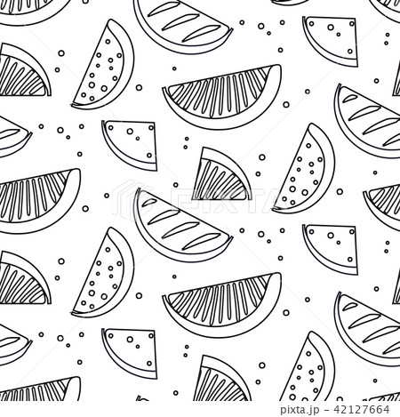 Watermelon summre fruit black white concept. Fern botanical scandinavian sketch pattern. Retro line Watermelon summre fruit black white concept. Fern botanical scandinavian sketch pattern. Retro line 42127664