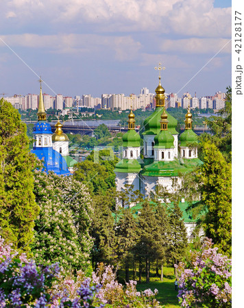 Green and white tops of churches with golden domes Green and white tops of churches with golden domes 42128177