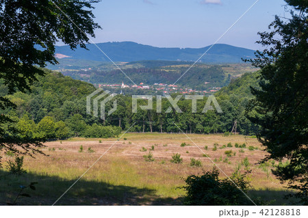 A field with a burnt, yellow grass on the foregrou A field with a burnt, yellow grass on the foregrou 42128818