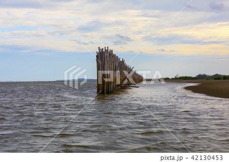 タイ国ラヨーン県の竹の防波壁の写真素材