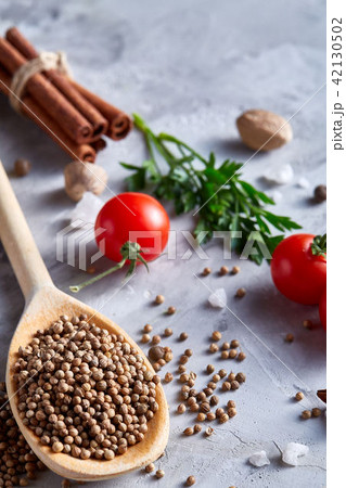 Coriander in wooden spoon with clipping path on white textured background, close-up, selective focus Coriander in wooden spoon with clipping path on white textured background, close-up, selective focus 42130502