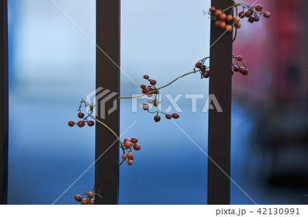 芝浦埠頭 42130991