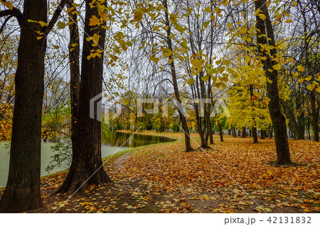 Autumn park in Saint Petersburg, Russia 42131832