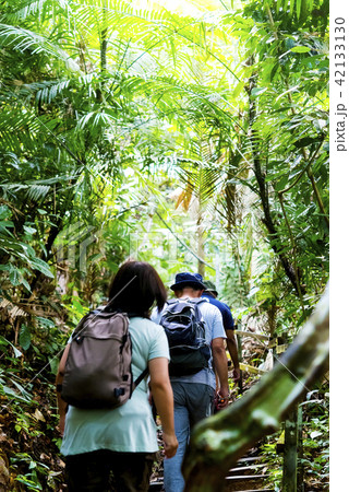 ジャングルトレッキング ジャングルトレッキング 42133130