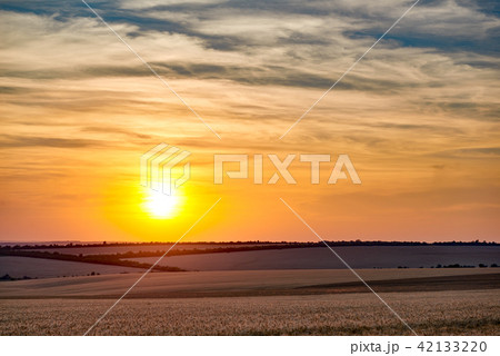 beautiful sunset is in wheaten field, colorful sky beautiful sunset is in wheaten field, colorful sky 42133220