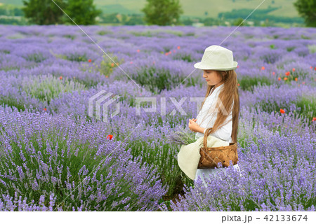 girl is in the lavender field, beautiful portrait girl is in the lavender field, beautiful portrait 42133674
