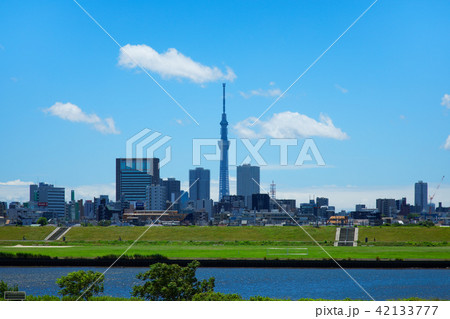 青空が広がる川の手住宅街と東京スカイツリー 42133777
