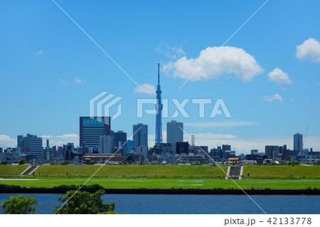 青空が広がる川の手住宅街と東京スカイツリー 青空が広がる川の手住宅街と東京スカイツリー 42133778