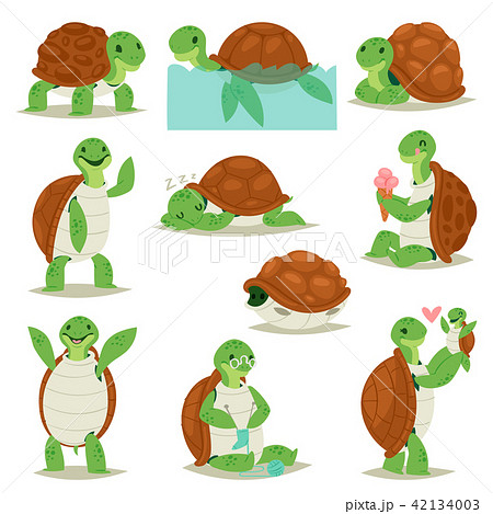 Turtle Vector Cartoon Seaturtle Character のイラスト素材
