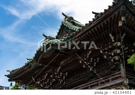 柴又帝釈天 42134401