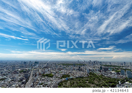東京都市風景 東京都市風景 42134643