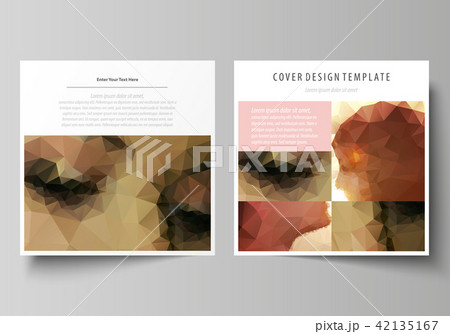 Business templates for square design brochure, magazine, flyer, booklet. Leaflet cover, abstract 42135167