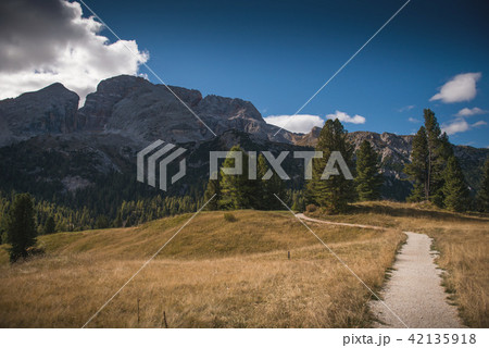 beautiful landscape scenery on platzwiese italy beautiful landscape scenery on platzwiese italy 42135918