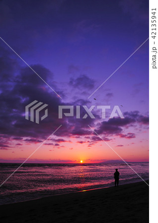 夕陽 夕陽 42135941