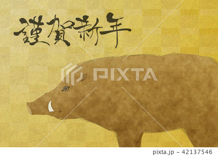 年賀状2019年 年賀状2019年 42137546