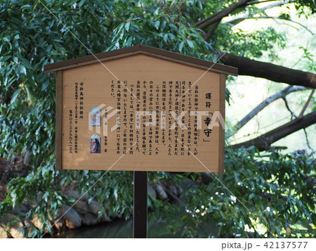 善福寺公園 42137577