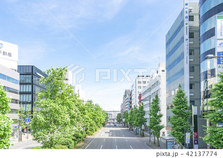 流作場五差路歩道橋より新潟駅に続くビジネス街 42137774