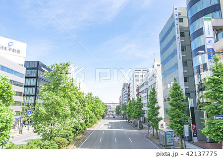 流作場五差路歩道橋より新潟駅に続くビジネス街 流作場五差路歩道橋より新潟駅に続くビジネス街 42137775