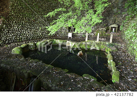 野中の清水（和歌山県 田辺市） 42137782