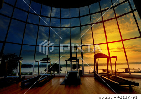Silhouette Treadmill interior with forest river Silhouette Treadmill interior with forest river 42137791