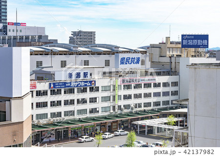 新潟駅前の風景 新潟駅前の風景 42137982