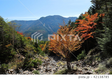 北八ヶ岳 紅葉の写真素材