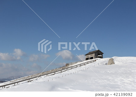 雪景色 大関嶺 大関嶺牧場 42139092