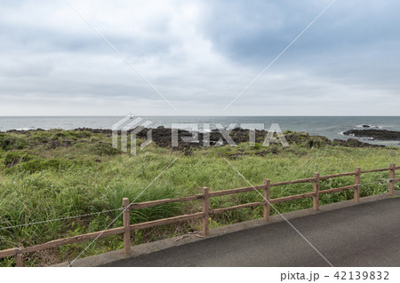 八幡瀬 八幡瀬 42139832