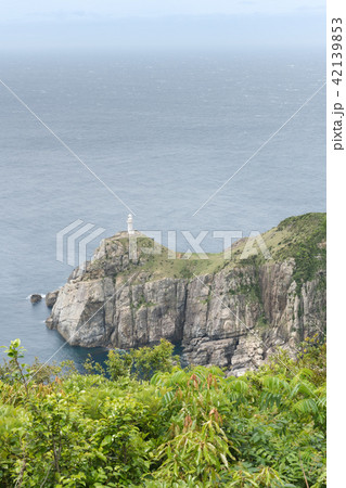 大瀬埼灯台 42139853