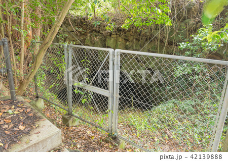 富江溶岩トンネル・井坑 富江溶岩トンネル・井坑 42139888