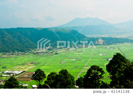 阿蘇のカルデラの広々とした田んぼと根子岳と外輪山を見る。 阿蘇のカルデラの広々とした田んぼと根子岳と外輪山を見る。 42141136