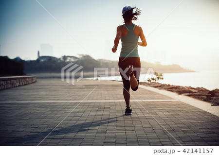 sporty young fitness woman running on coast trail sporty young fitness woman running on coast trail 42141157