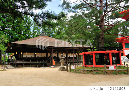 壇上伽藍　御影堂と三鈷の松 42141803