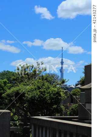 谷中霊園からスカイツリー 42143277