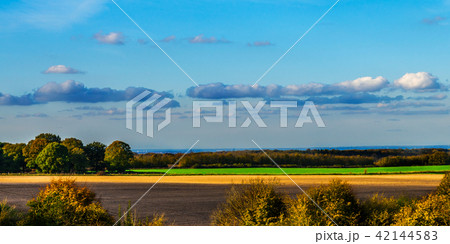 English green meadow on a sunny day 42144583