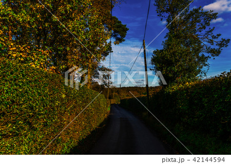 English country road on a sunny day 42144594