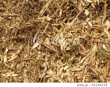 Sawdust detailed fragment. Natural raw material 42146259