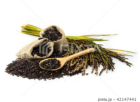 Rice berry seed. Rice berry seed. 42147441