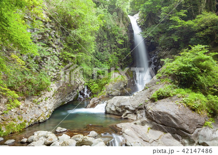 河津七滝の釜滝、静岡県賀茂郡河津町にて 河津七滝の釜滝、静岡県賀茂郡河津町にて 42147486