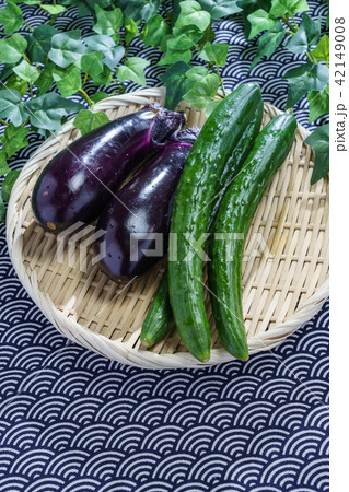 採れたての野菜 採れたての野菜 42149008