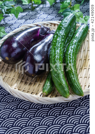 採れたての野菜 採れたての野菜 42149009