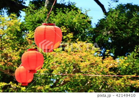 提灯 提灯 42149410
