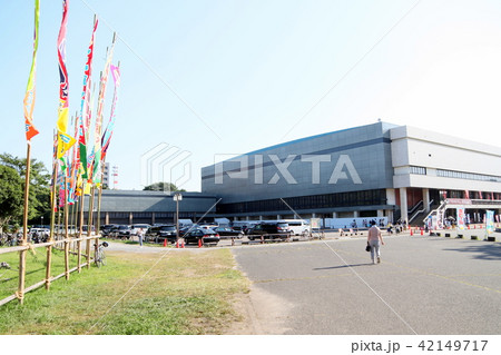 大相撲名古屋場所ののぼり 42149717