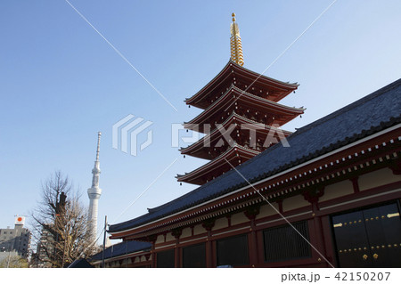 浅草寺五重塔と東京スカイツリー 42150207