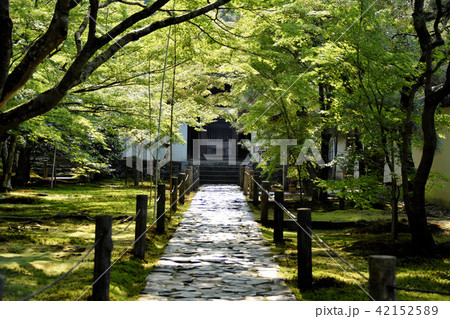 酬恩庵 一休寺 42152589