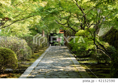 酬恩庵 一休寺 42152590
