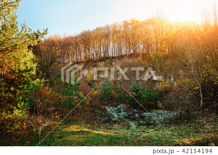 Landscape with blue sky and autumn wood with Landscape with blue sky and autumn wood with 42154194