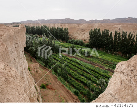 新疆ウィグル自治区トルファン・交河故城 / Jiaohe Ruins, Turpan, China 42154575