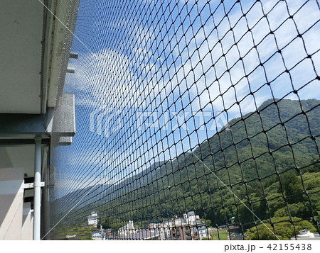 野鳥の多いところでは防鳥ネットを張ります 42155438